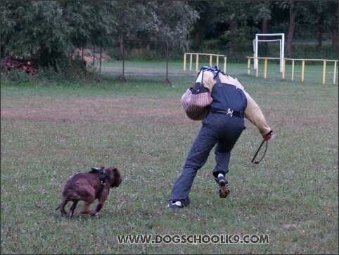 Training camp - Lukova 2007